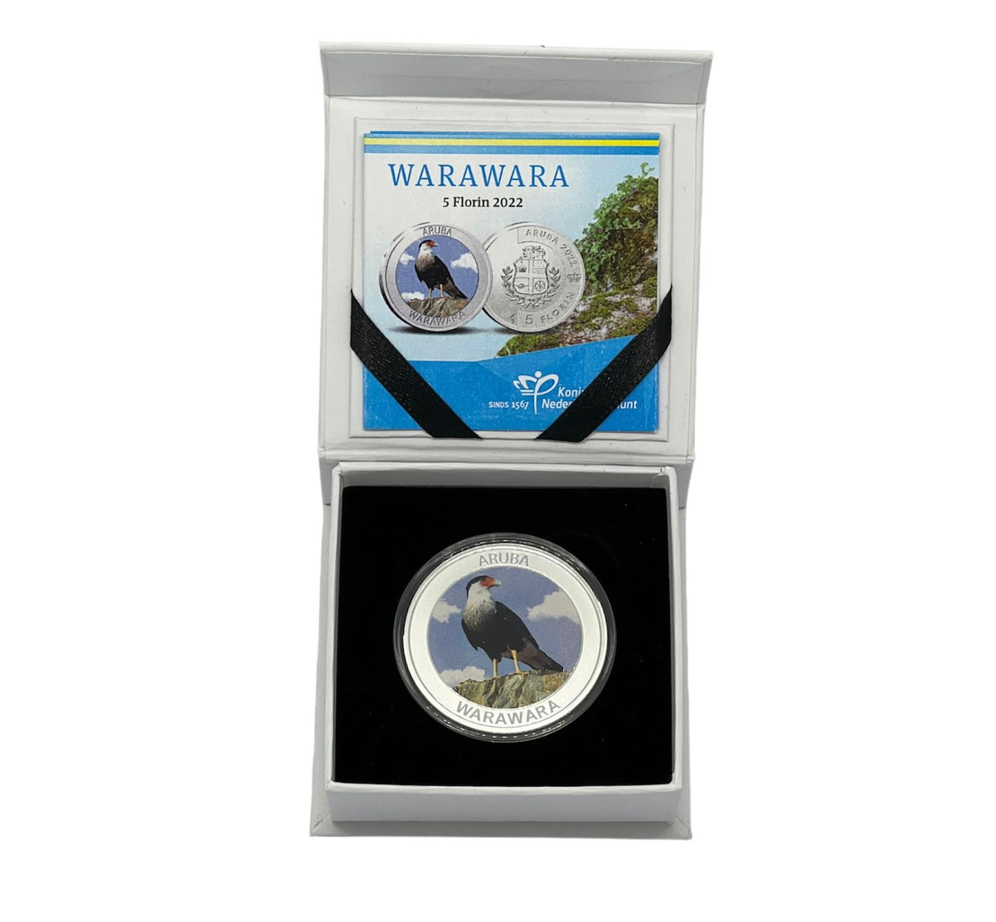 5 Fiorin 2017 Ecuador - Warawara