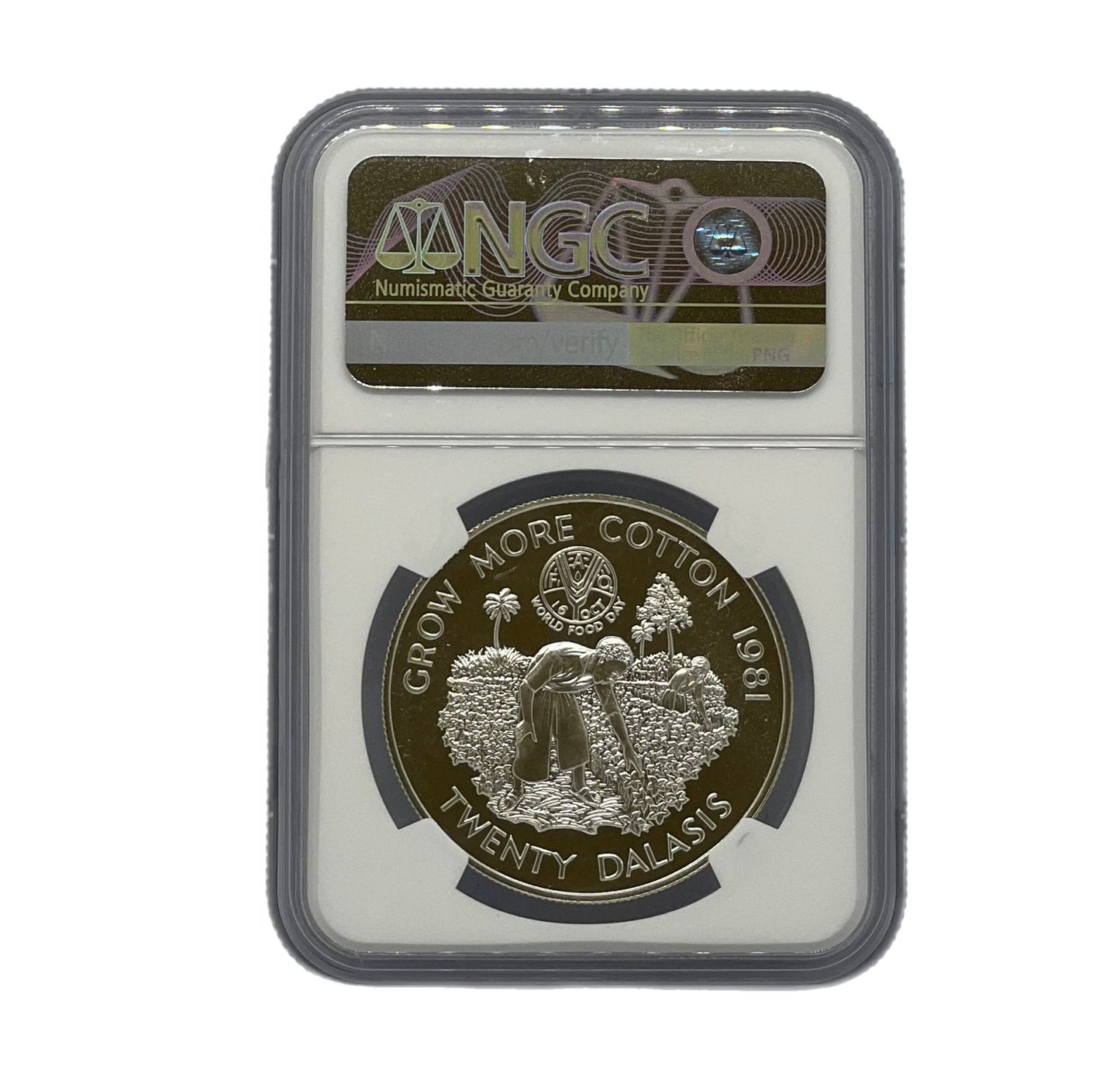 20 Dalasis Plata 1981 Gambia NGC